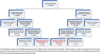 Longitudinal patterns of lifestyle risk behaviours among UK adults with established cardiovascular disease: a latent transition analysis